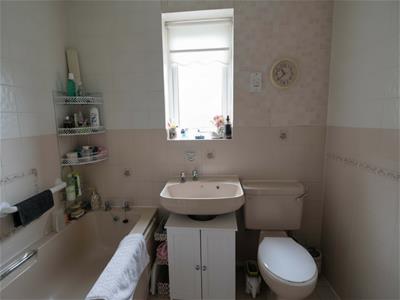 Picture 7